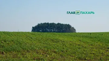 К февралю 2027 года Агротрейд распланирует 76,2 га в Аксайском районе Ростовской области